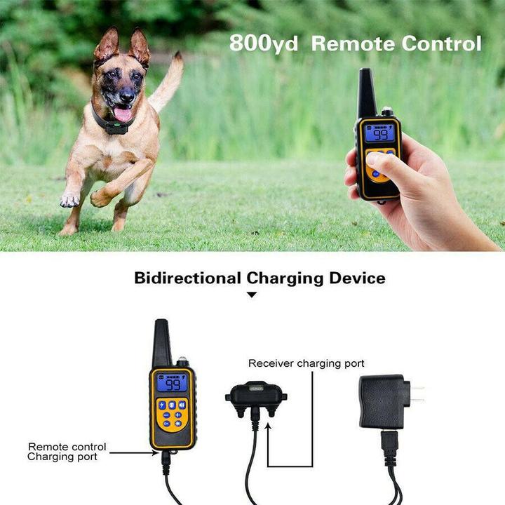 Dog Shock Collar Rechargeable Waterproof Dog Training Collars 875 Yards