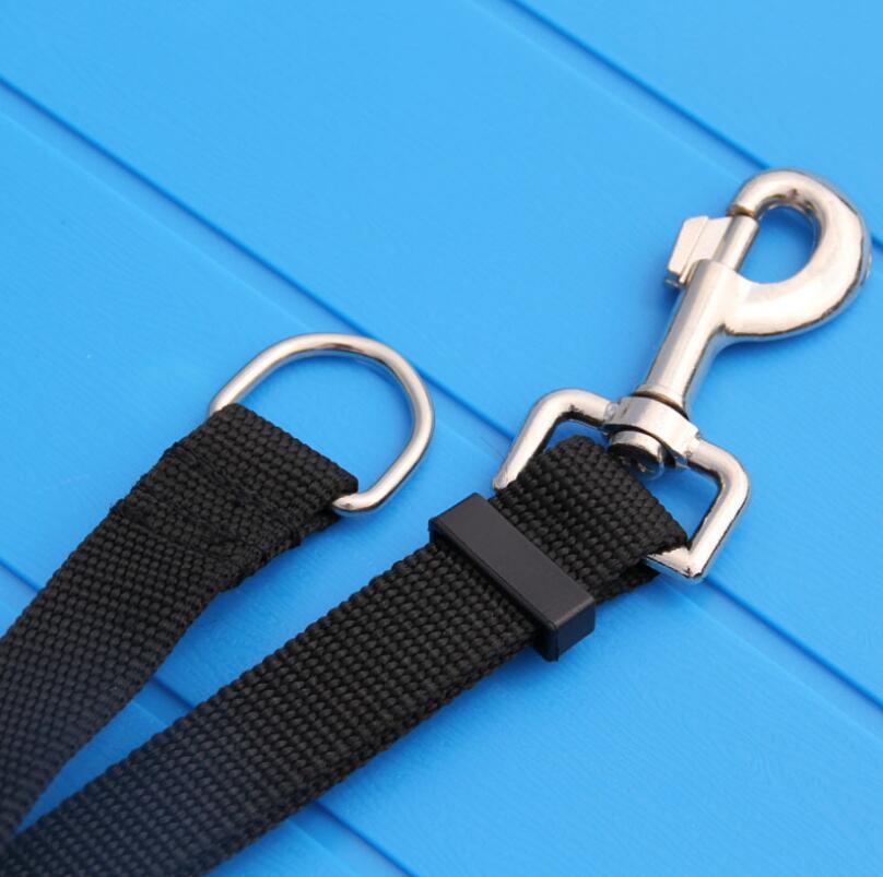 Lead Leash for Dogs & Cats 1.5M 1.8M 3M 6M 10M