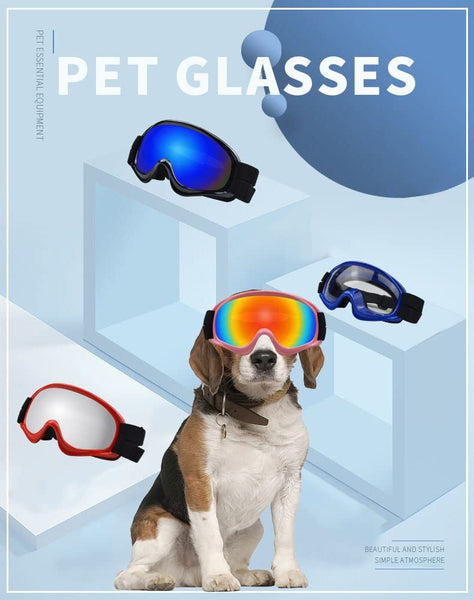 Dog UV Protection Sunglasses