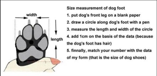 dog snow boots