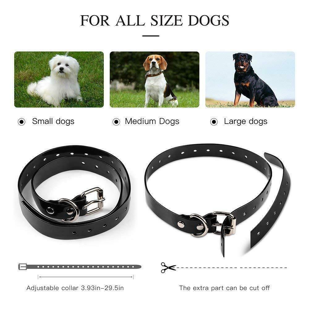 Electric dog collar is adjustable to fit small, medium and large dogs
