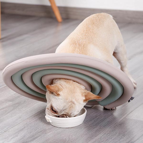 Dog & Cat Elizabethan Surgery Recovery Collar