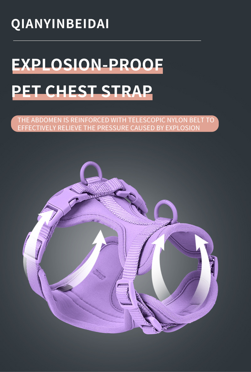 Dog Harness| Harness and Leash Walk Kit