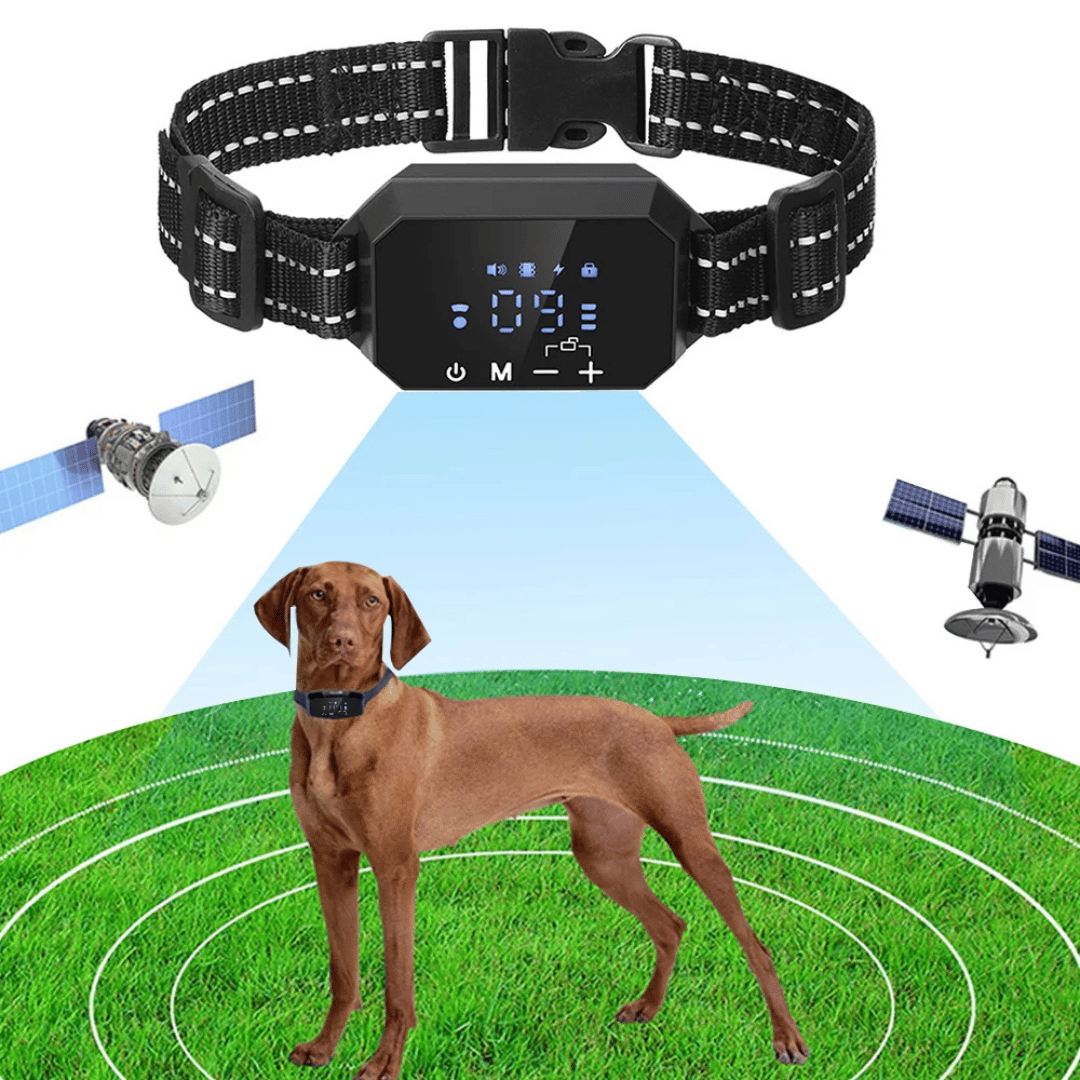 1000m GPS Wireless Dog Fence Containment System