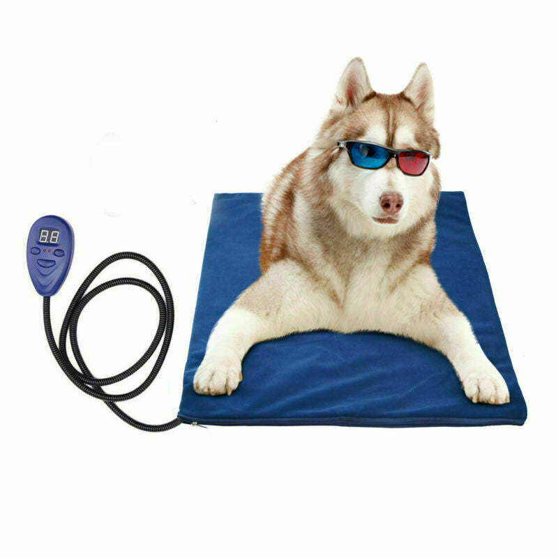 Winter Pet Bed