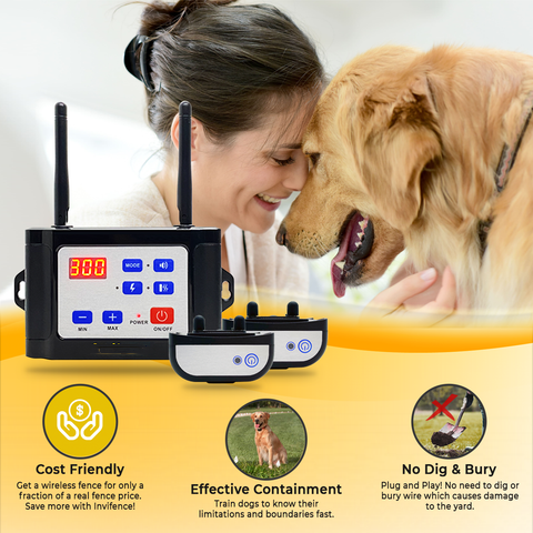 Intelligent 2 in 1 dog 2024 training and outdoor wireless fence system