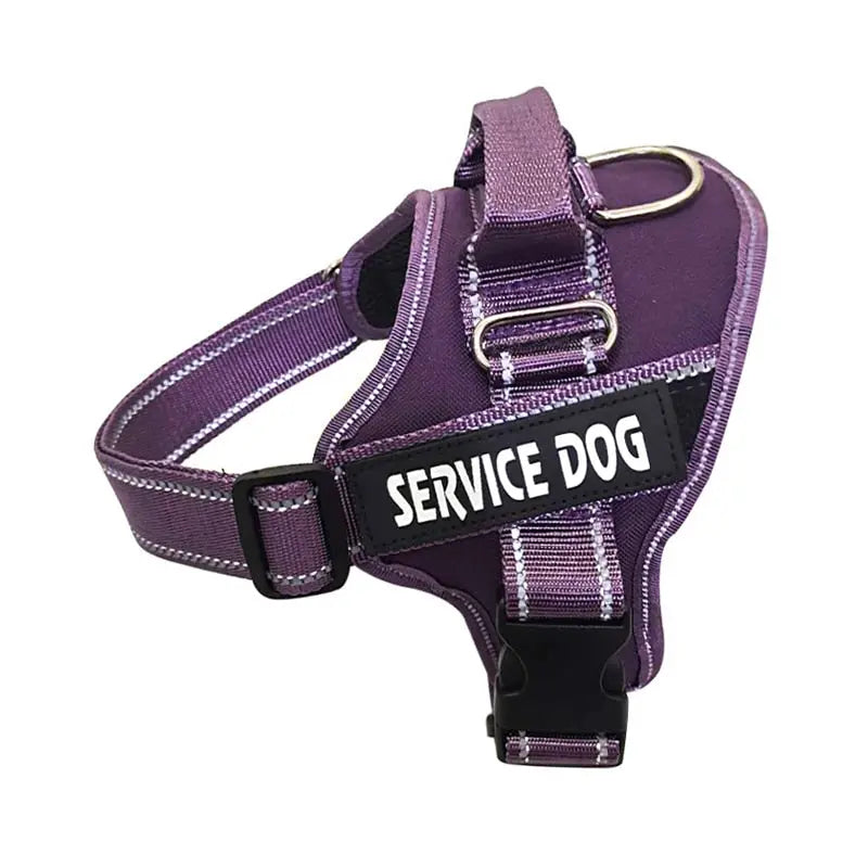Personalized Dog Harness - Engrave Your Pet's Name