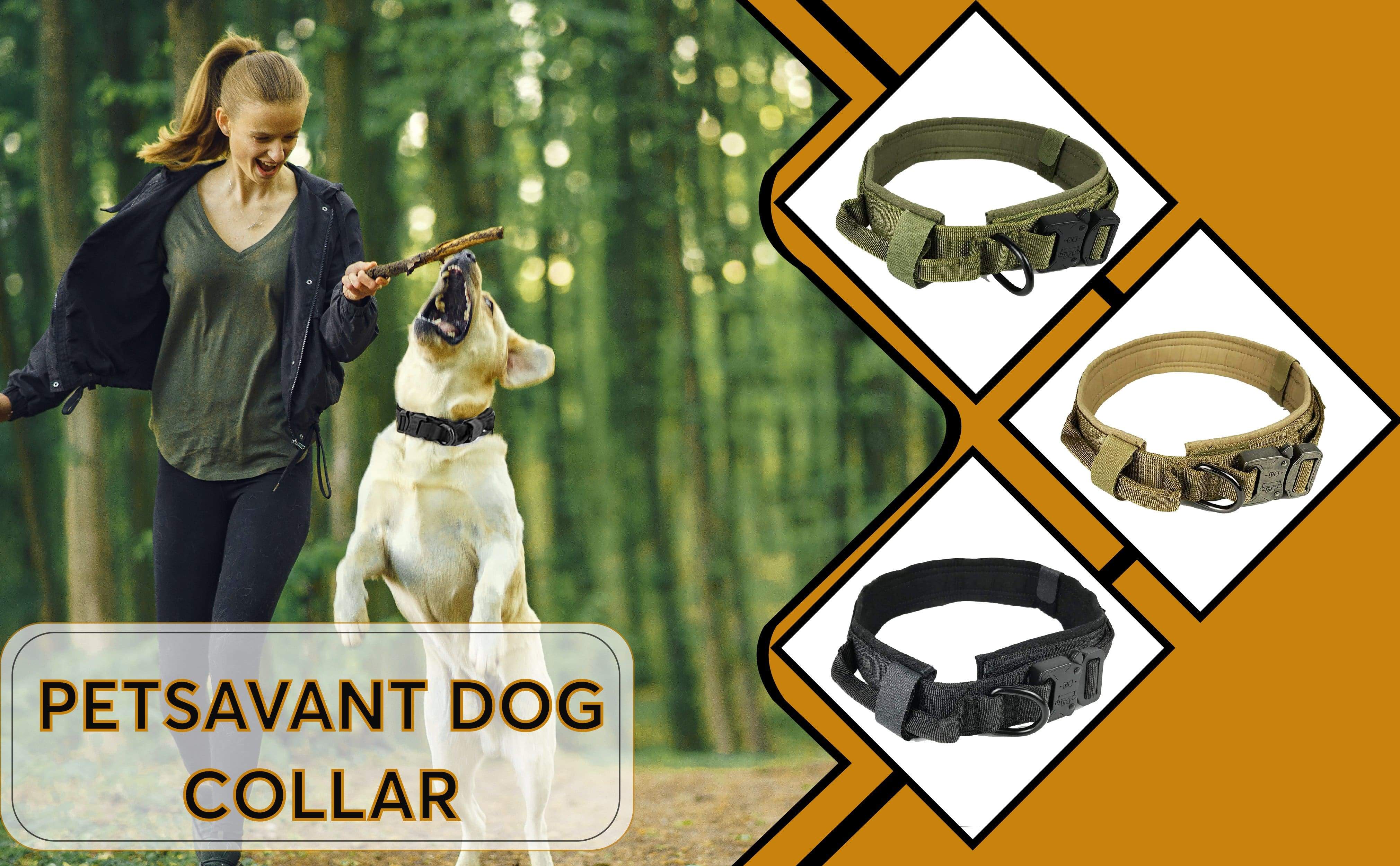Heavy Duty Tactical dog collar with handle