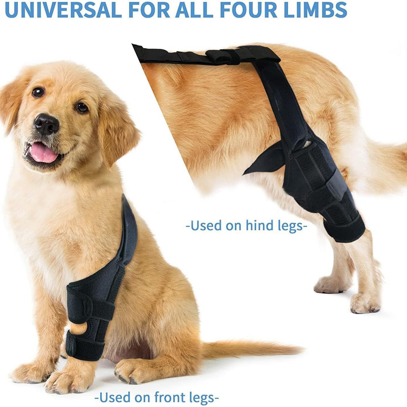 Dog Elbow Braces for Offers Elbow Support