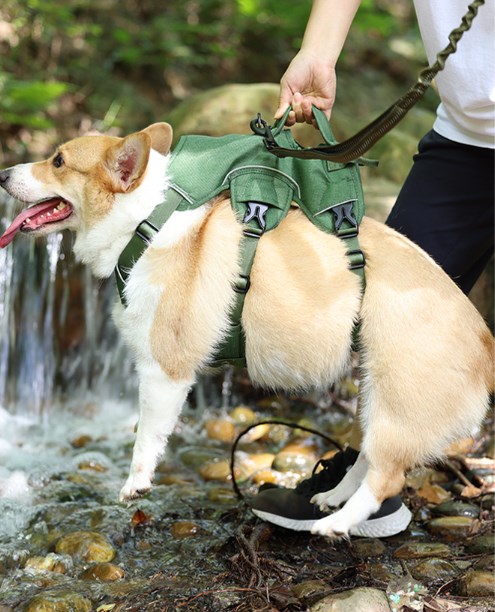 Escape Proof Dog Harness and Leash Set No Pull Adjustable Reflective Dog Vest with Padded Lift Handle