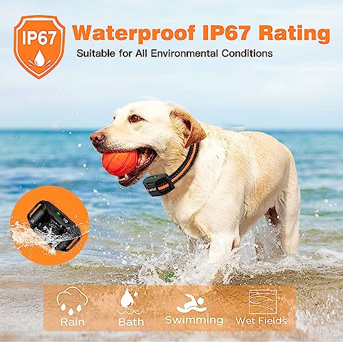 Electric Dog Training Collar – Waterproof & Rechargeable with Remote Control