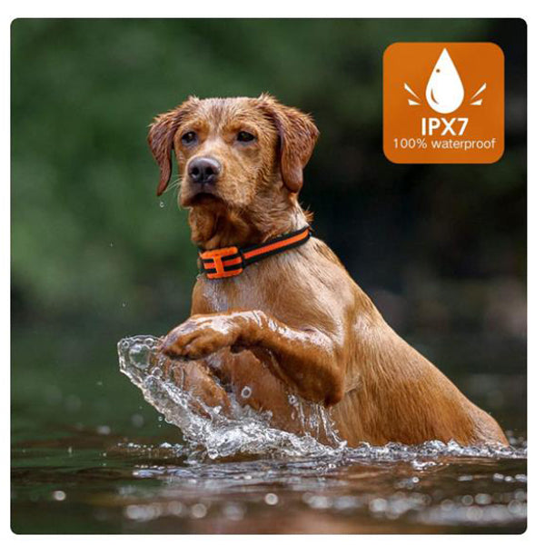 Waterproof Dog Training Collar Rechargeable Remote Electric Dog Shock Collar