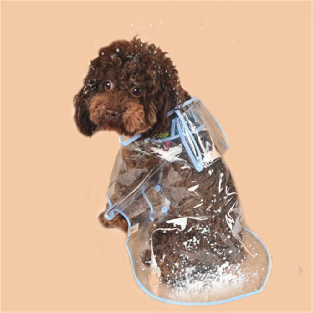 Transparent Dog Raincoat