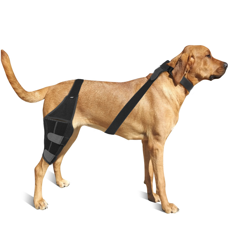 Dog Knee Brace for Torn ACL Hind Leg
