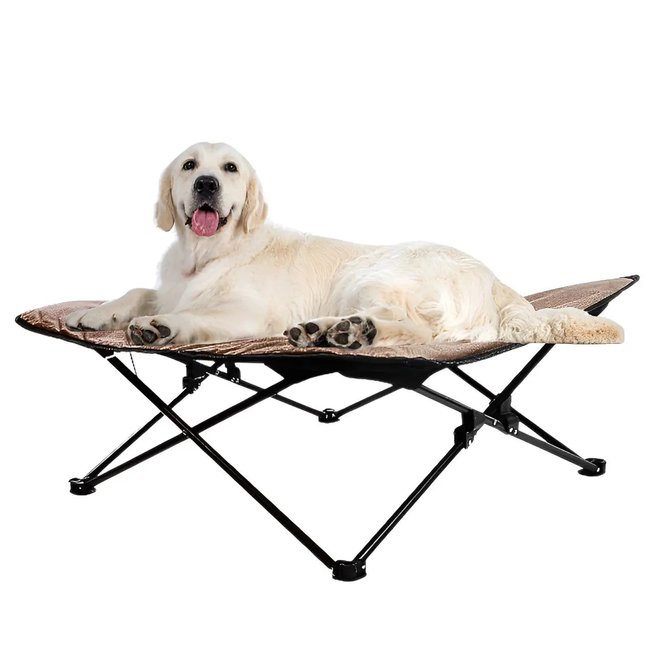 Elevated Dog Camp Bed Waterproof and Wear Resistant