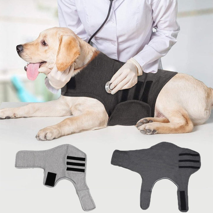Dog Anxiety Relief Vest for Thunderstorm & Fireworks