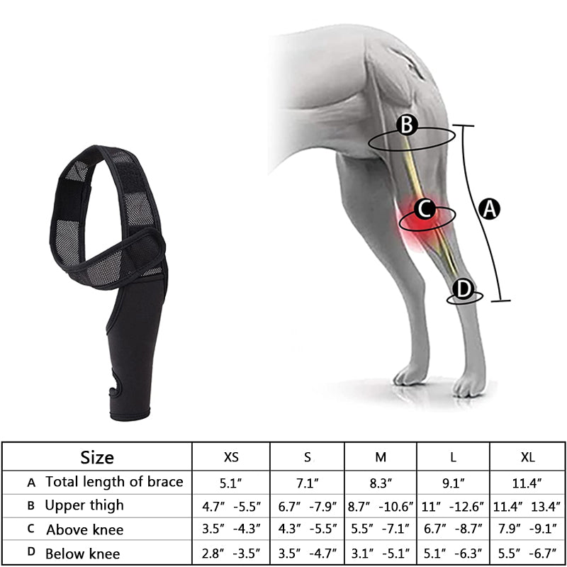 Dog Knee Brace Support For Torn Acl
