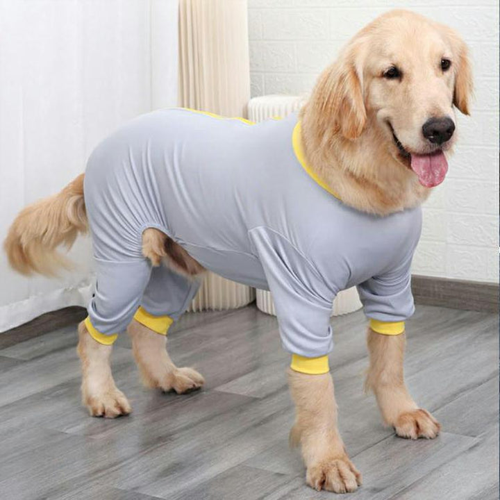 Dog Recovery Suit after Surgery
