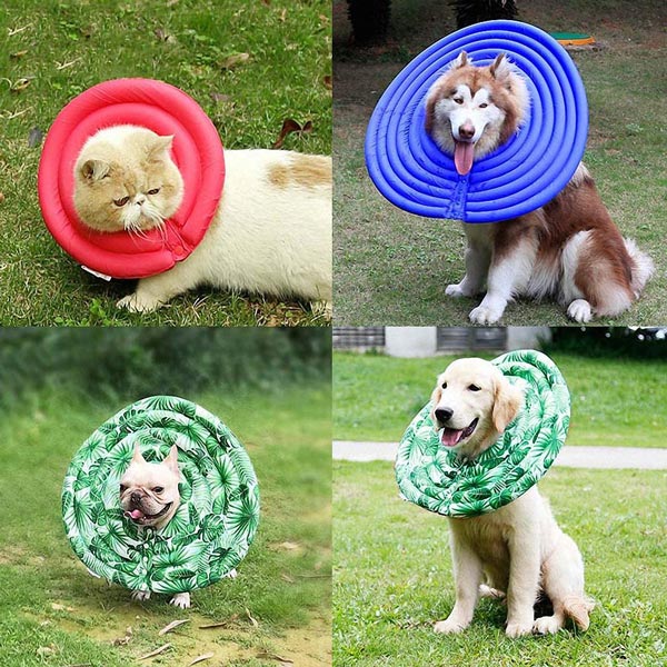 Dog & Cat Elizabethan Surgery Recovery Collar