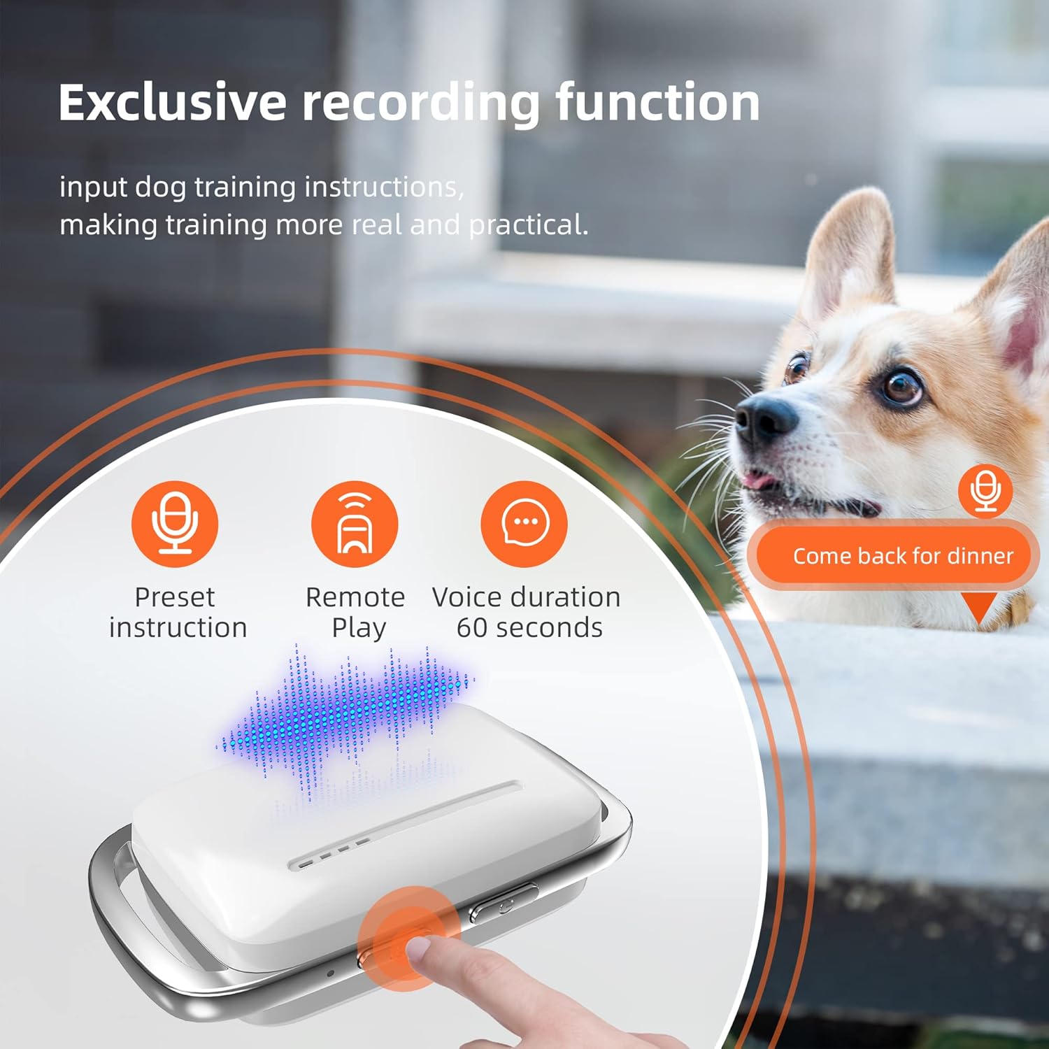 Dog Shock Collar Waterproof Rechargeable E-Collar for Dogs with 16 Levels Beep Vibration Shock Electric Dog Training Collar with Remote