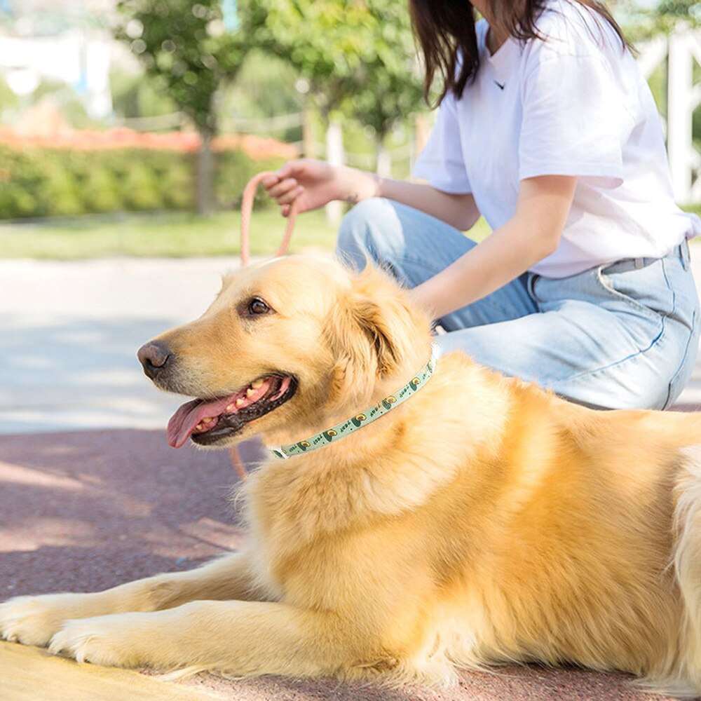 6-Month Protection Anti-Flea & Tick Collar for Dogs and Cats | Retractable Pet Control Collar