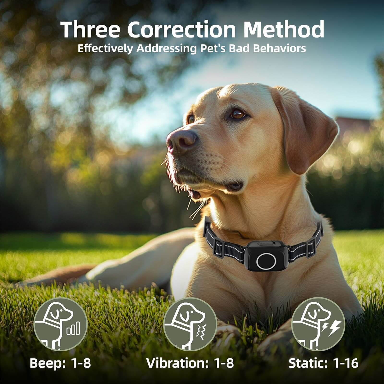 Dog Training Collar - 3-in-1 Bark Control