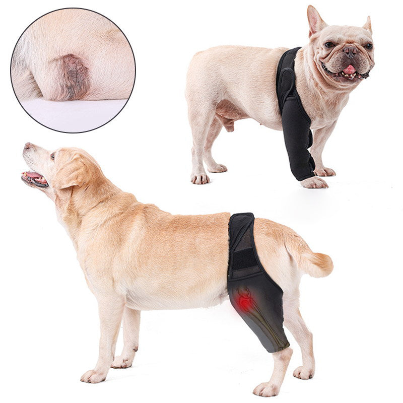 Dog Knee Brace Support For Torn Acl