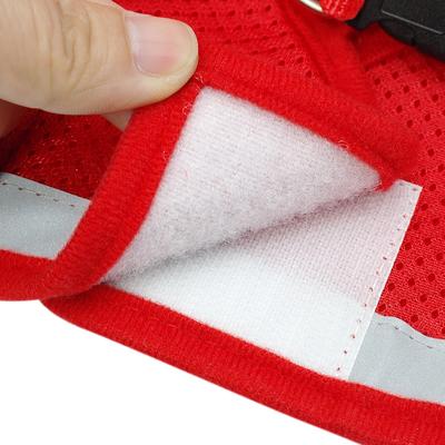 Reflective Cat & Kitten Harness And Leash Set