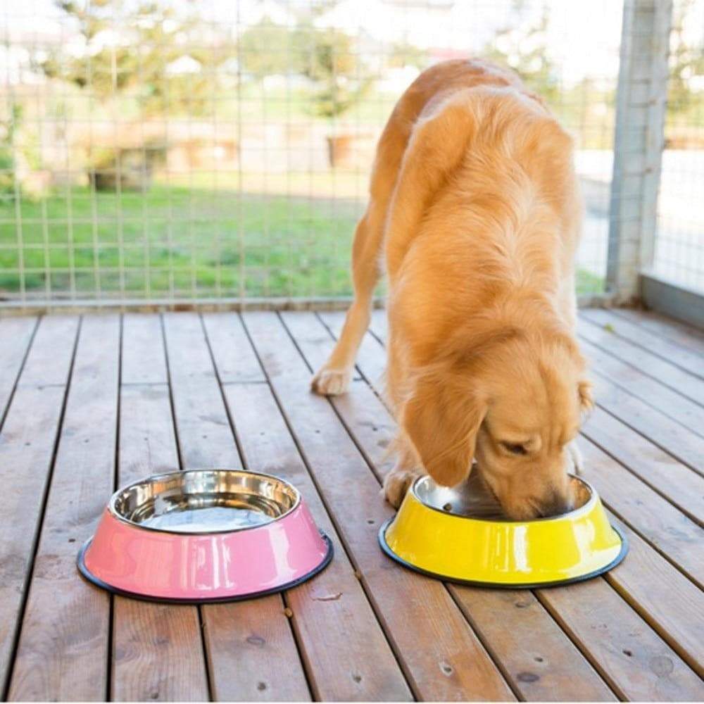 Dog Bowl Multi-Colored Stainless Steel