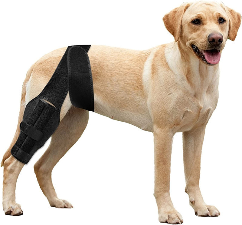 Dog Knee Brace for Torn Acl Hind Leg for Support