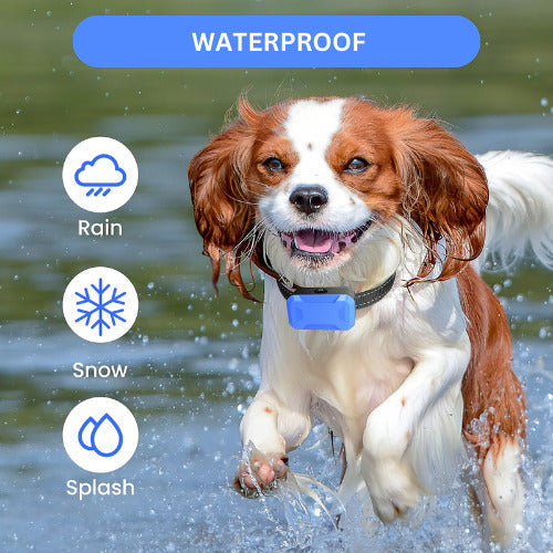 The 2 In 1 Electric Training Wireless Dog Fence Collar