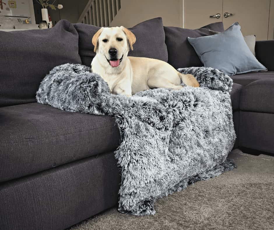  Pet Couch Cushion Cover