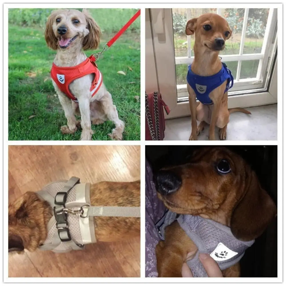 Reflective Breathable Escape Proof Pet Harness Leash Set For Small, Medium Dogs