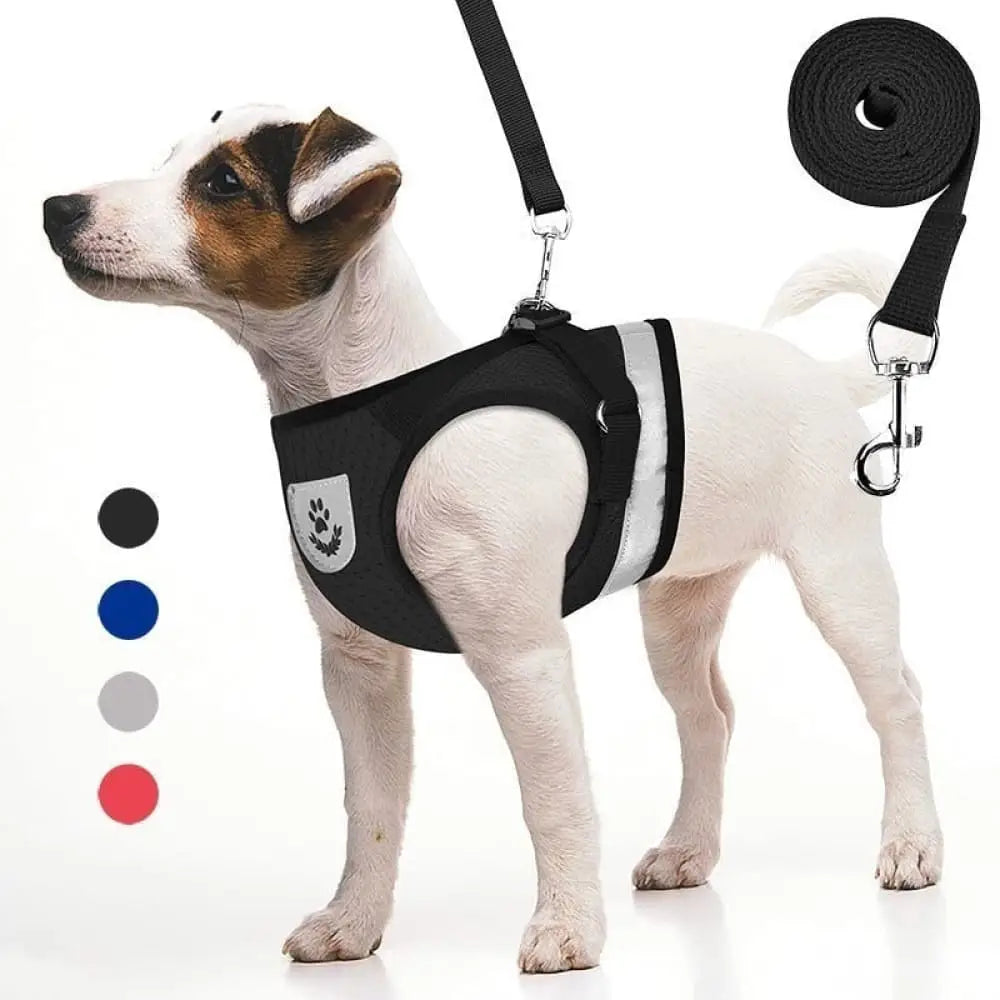 Reflective Breathable Escape Proof Pet Harness Leash Set For Small, Medium Dogs
