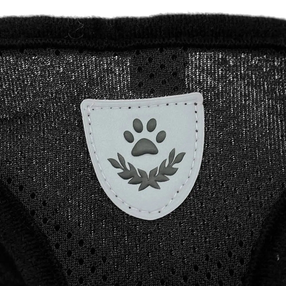 Reflective Breathable Escape Proof Pet Harness Leash Set For Small, Medium Dogs
