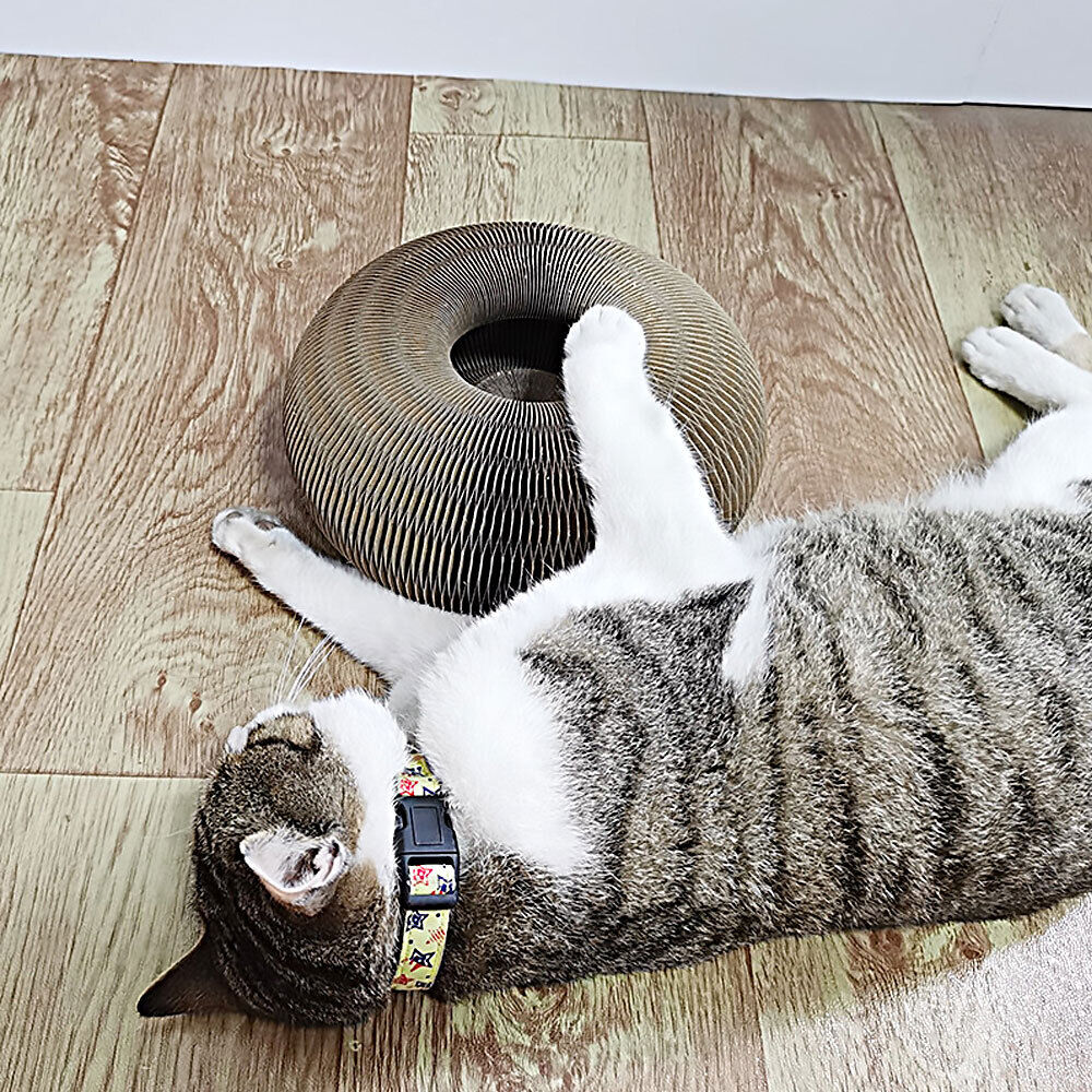 Accordion Cat Toy