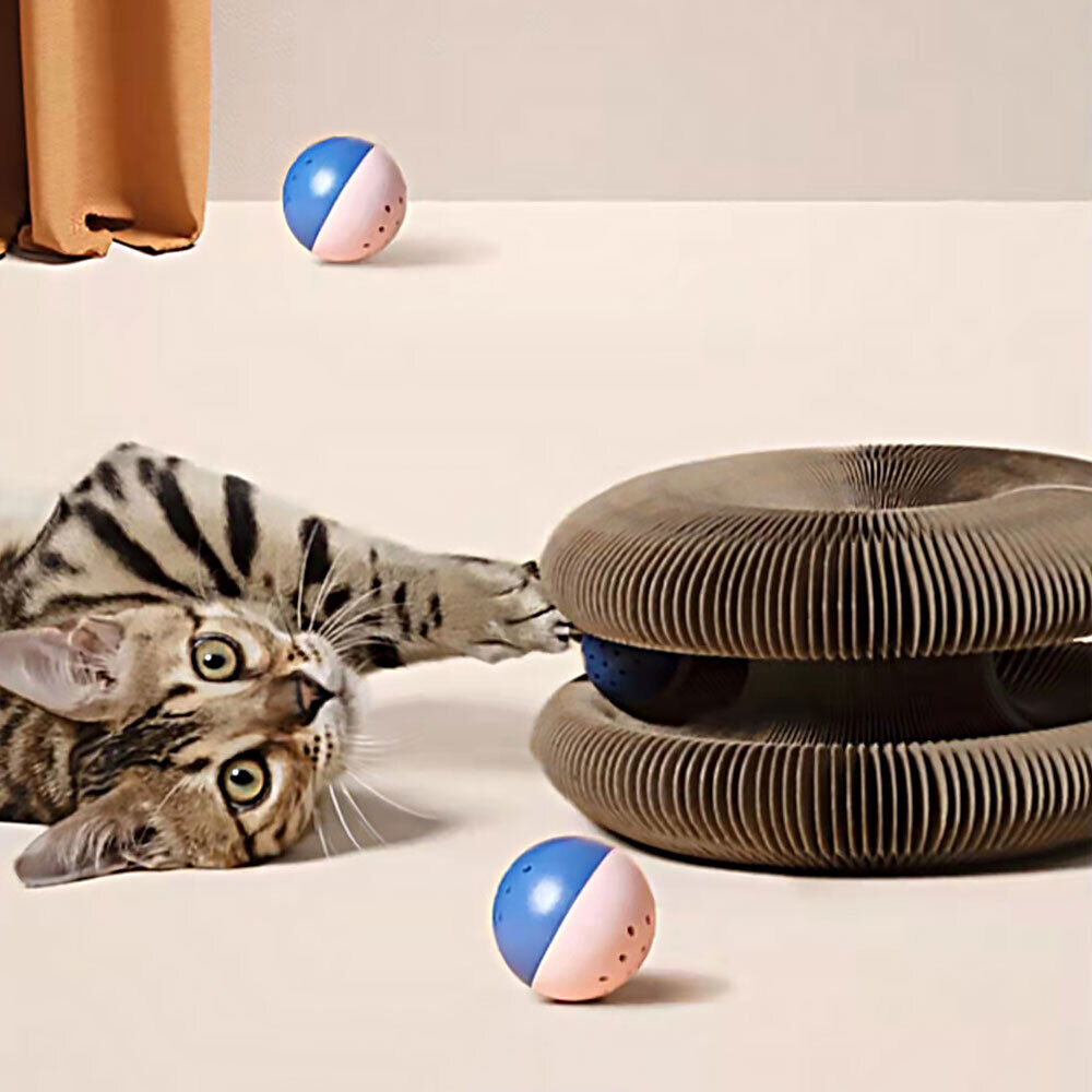 Accordion Cat Toy