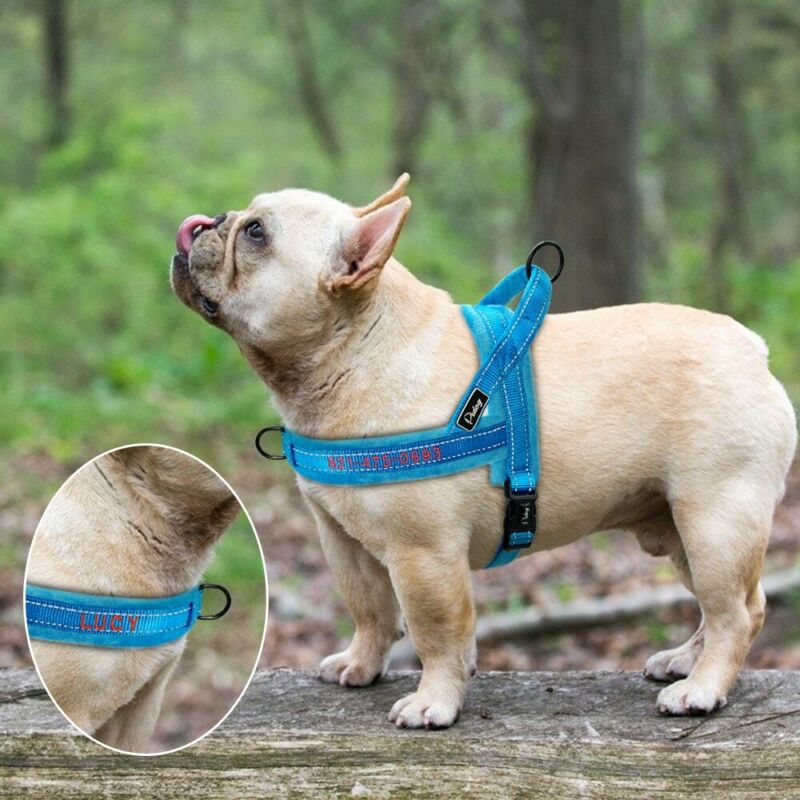 Personalised Embroidered Dog Harness