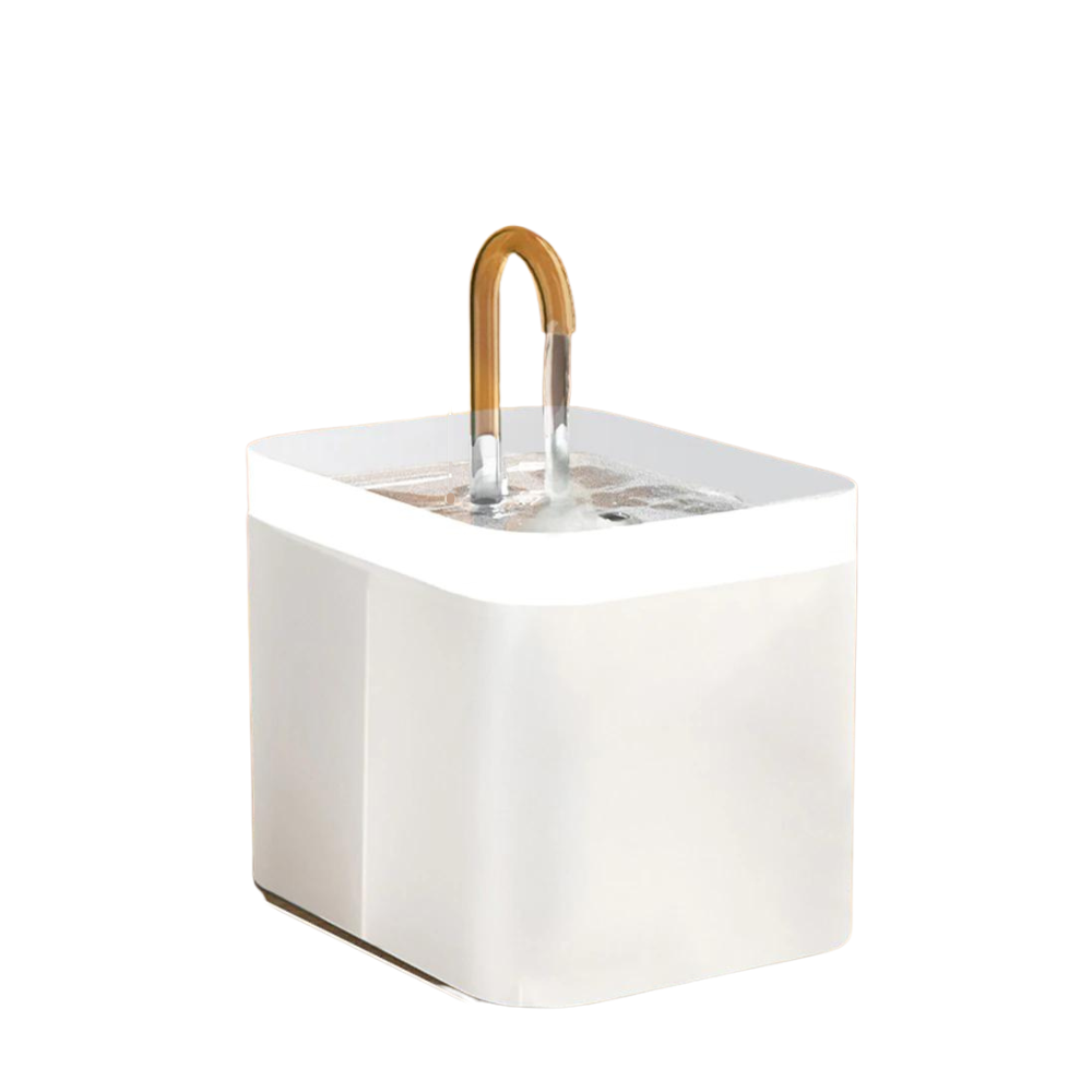 Filtered Water Fountain for Cats