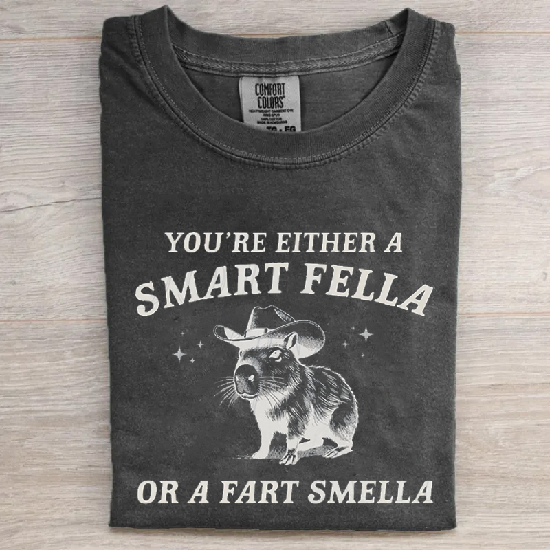 Are You A Smart Fella Or Fart Smella Vintage Style T-shirt-Magmoo