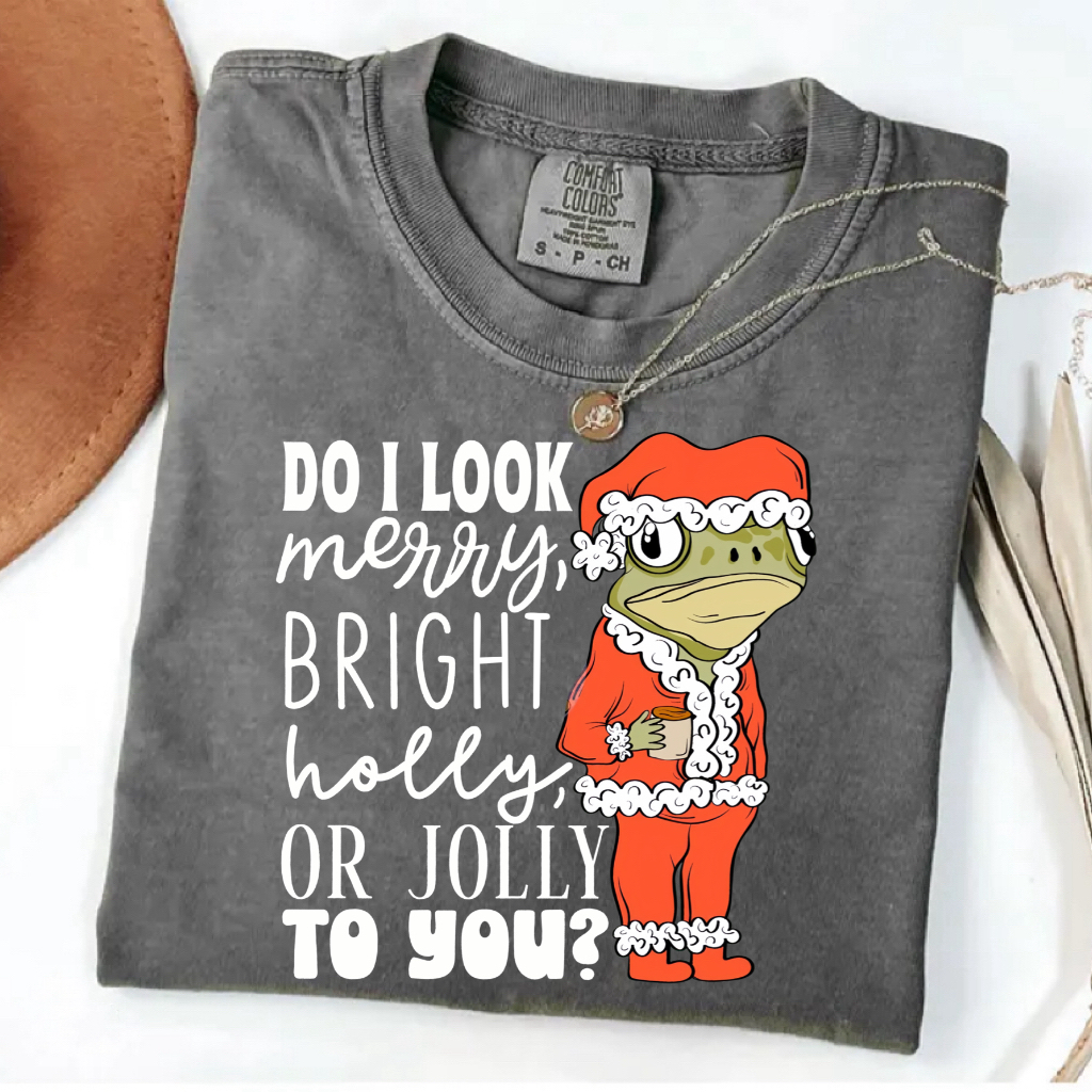 Do I look Merry, Bright, Holly or Jolly to you? Christmas T-shirt