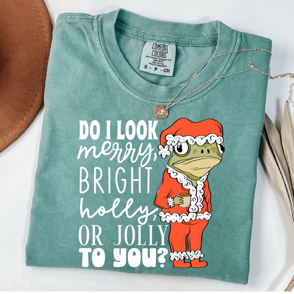Do I look Merry, Bright, Holly or Jolly to you? Christmas T-shirt