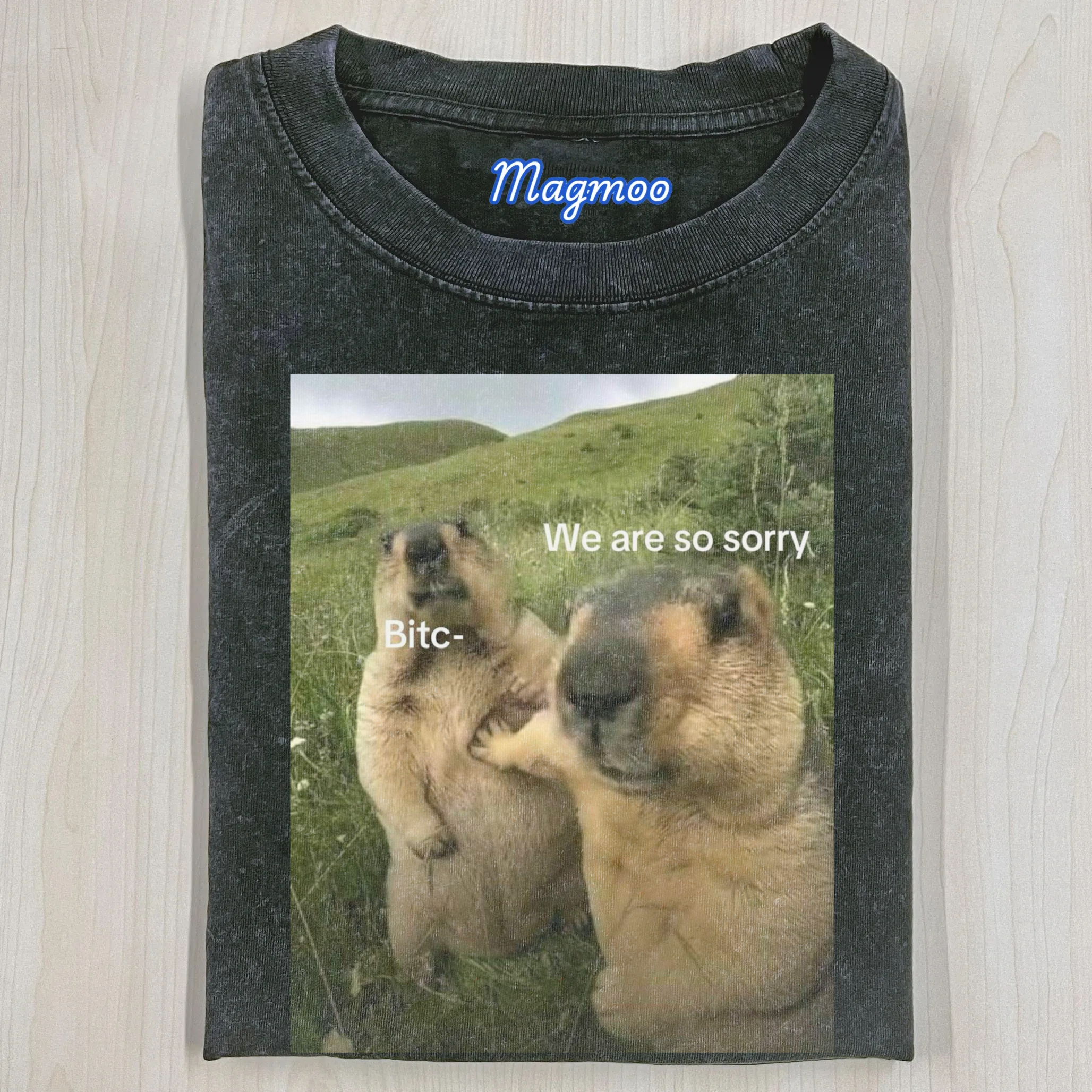 Funny Groundhog T-Shirt