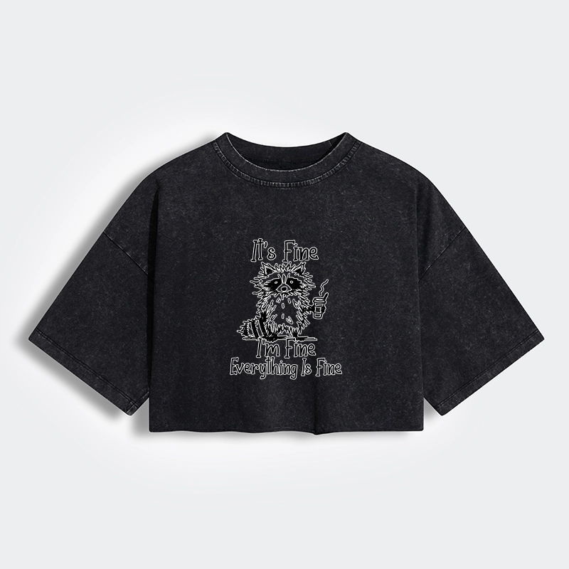 Magmoo Raccoon Fine Meme Women's Washed Crop T-Shirt