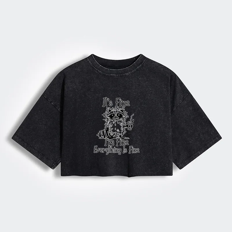 Magmoo Raccoon Fine Meme Women's Washed Crop T-Shirt