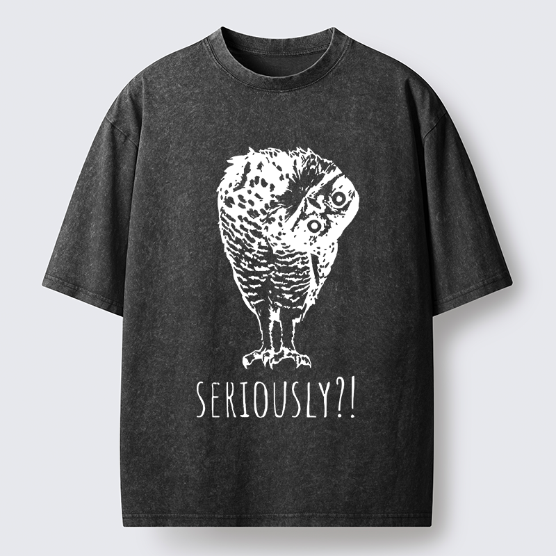 Magmoo Owl's Question Washed T-Shirt-Magmoo