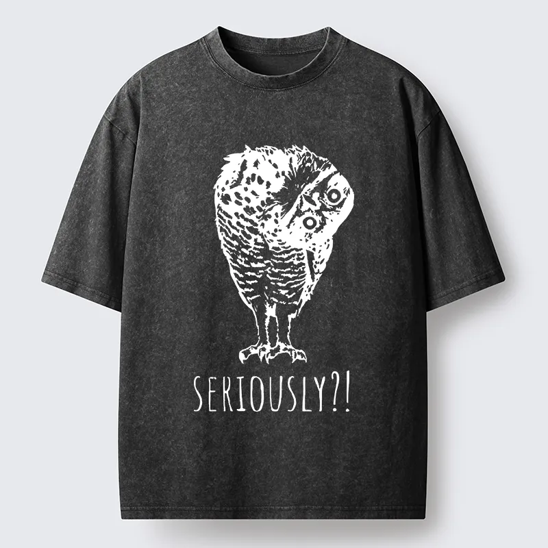 Magmoo Owl's Question Washed T-Shirt-Magmoo