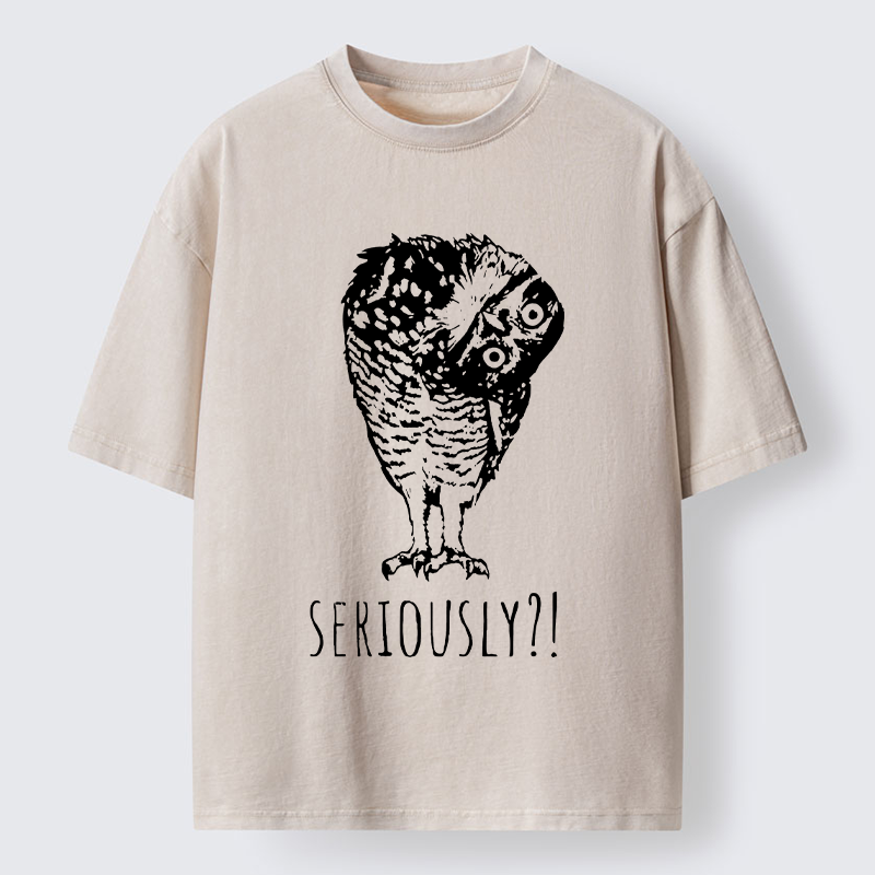 Magmoo Owl's Question Washed T-Shirt-Magmoo