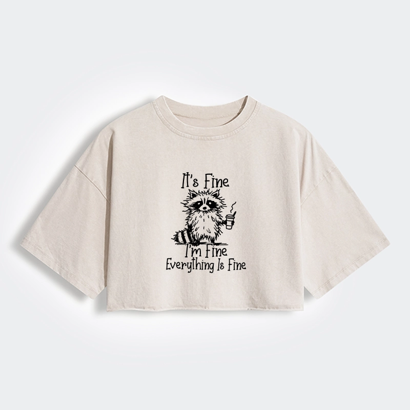 Magmoo Raccoon Fine Meme Women's Washed Crop T-Shirt