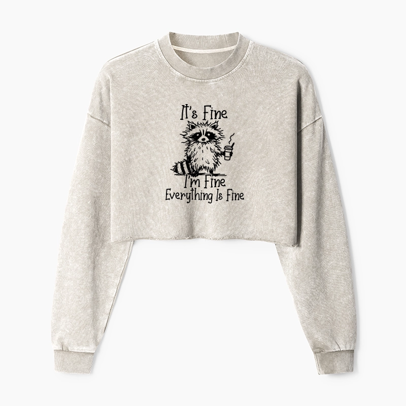 Magmoo Raccoon Fine Meme Washed Crop Sweatshirt